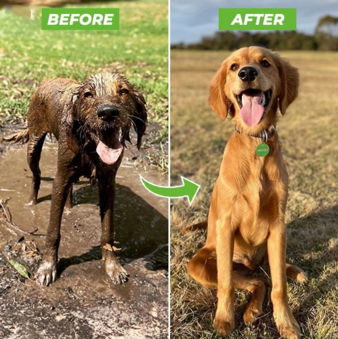 Hundewasch- und Shampoo-Sprüher