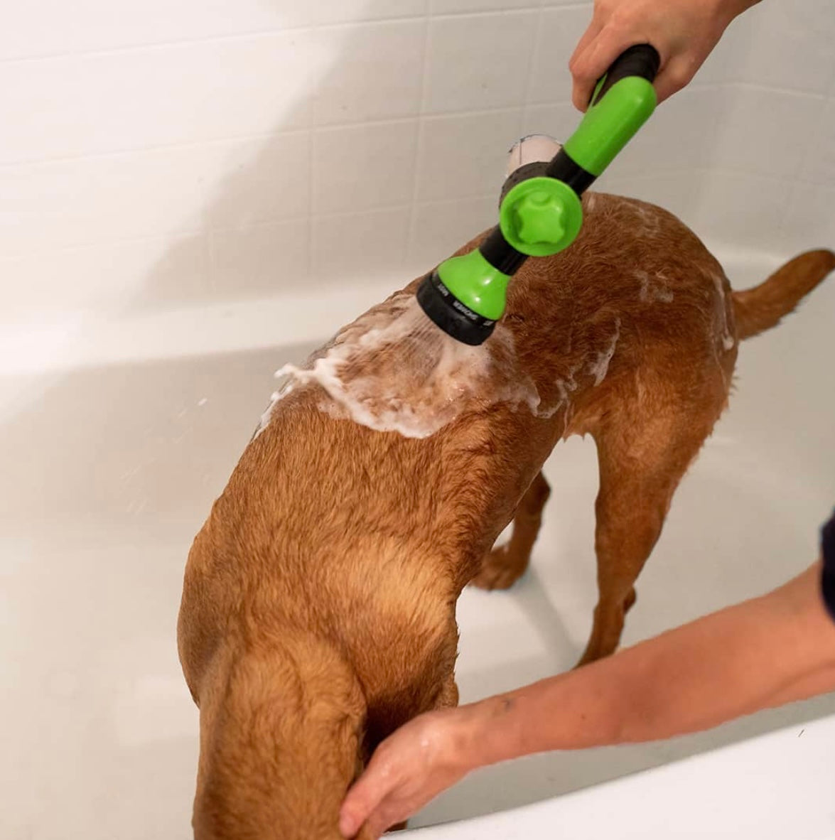 Hundewasch- und Shampoo-Sprüher