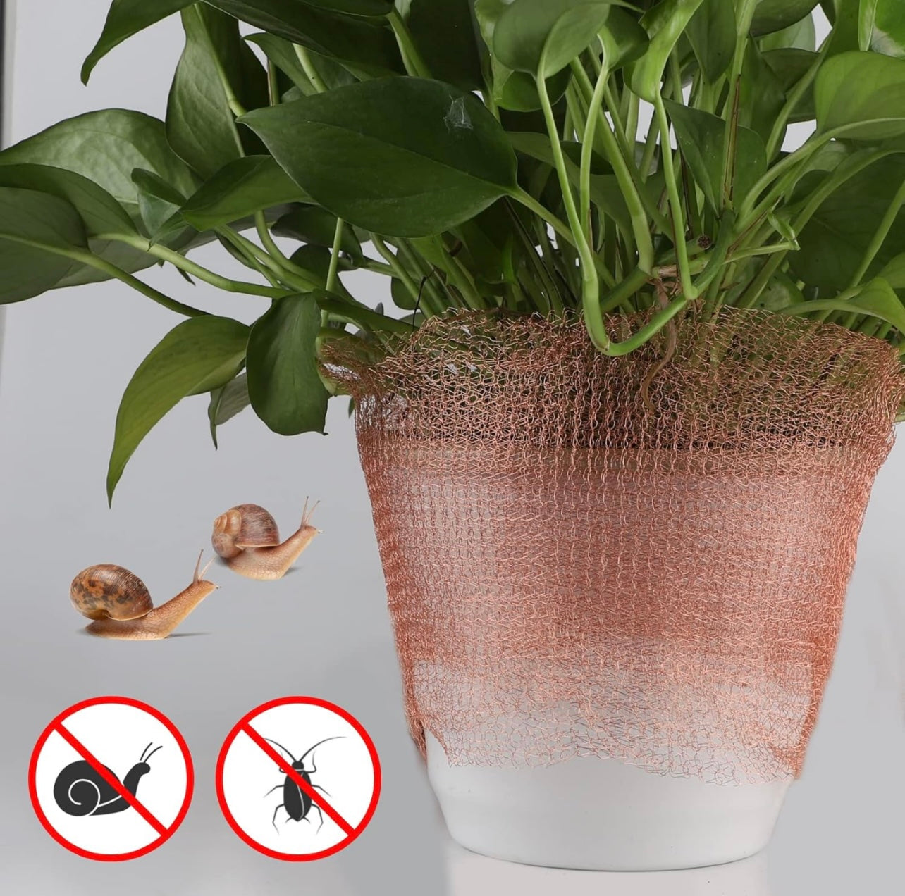 Garten Schädlingsbekämpfung Kupfernetz