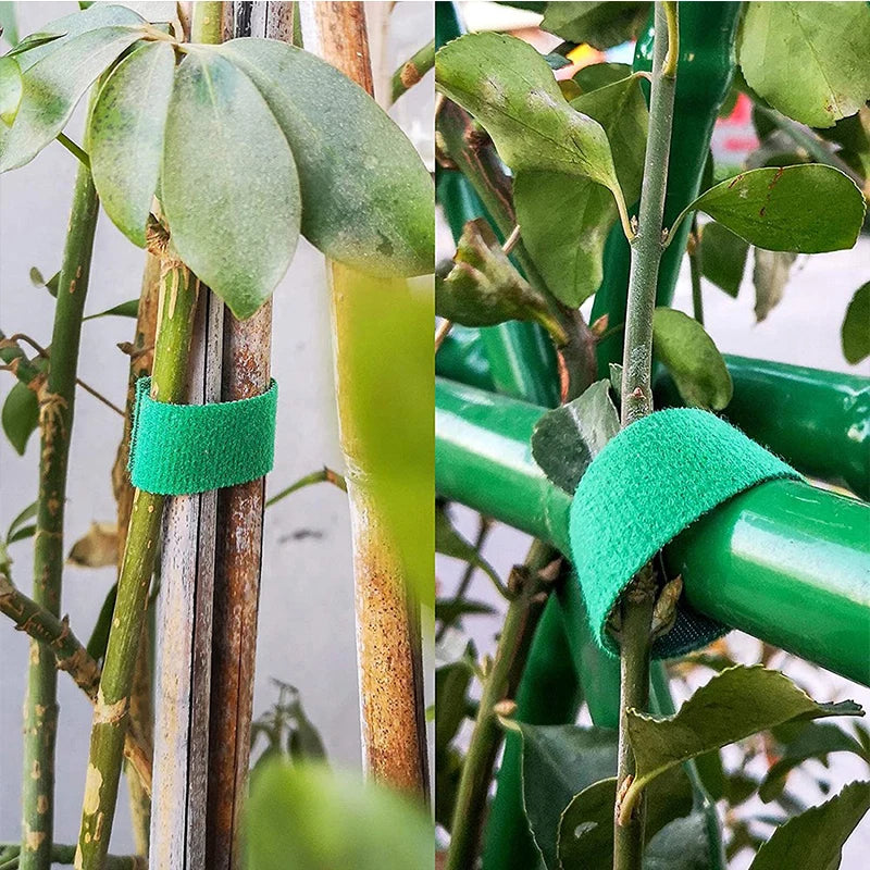 3 Rollen Nylon Schnur zum befestigen von Pflanzen