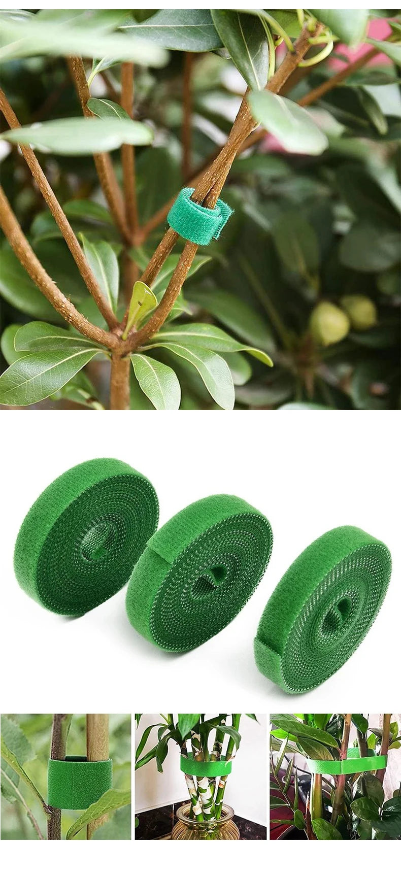 3 Rollen Nylon Schnur zum befestigen von Pflanzen