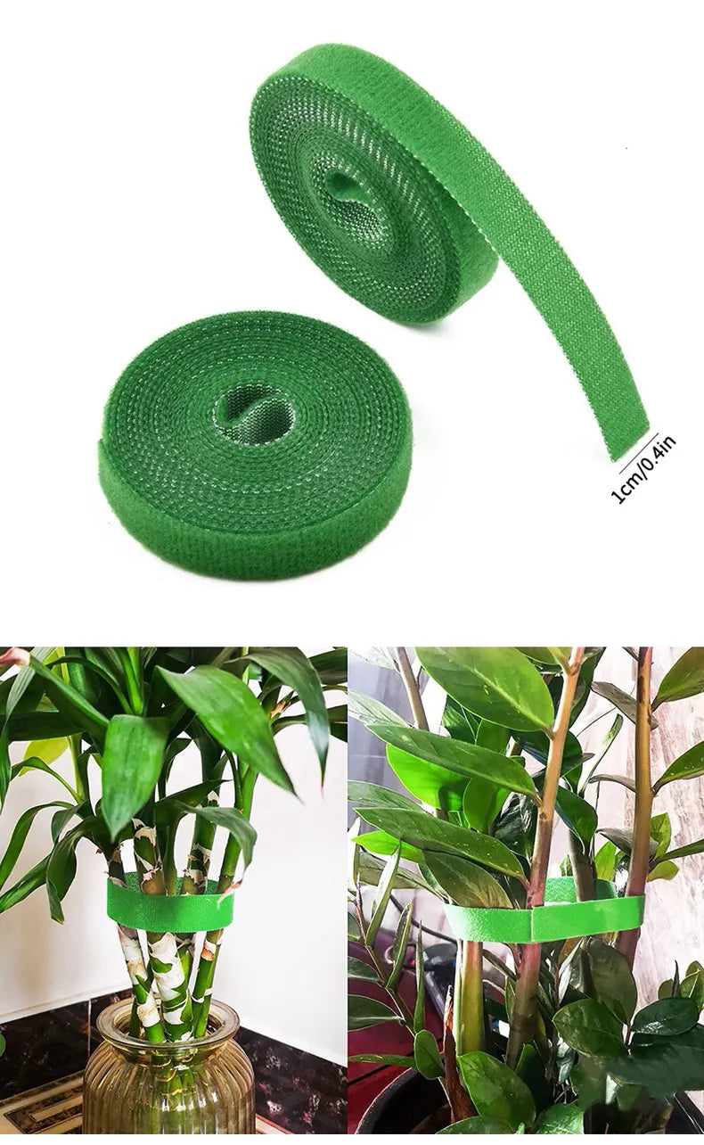 3 Rollen Nylon Schnur zum befestigen von Pflanzen