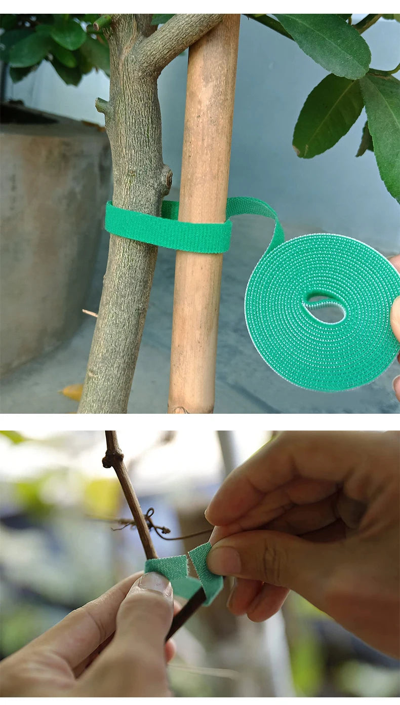3 Rollen Nylon Schnur zum befestigen von Pflanzen
